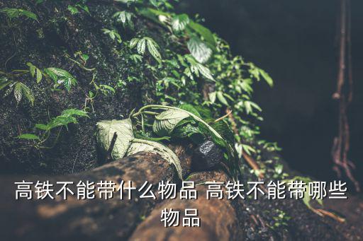 高鐵不能帶什么物品 高鐵不能帶哪些物品