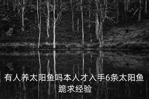 有人養太陽魚嗎本人才入手6條太陽魚 跪求經驗