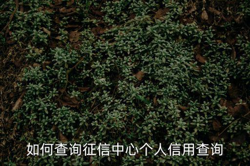 個(gè)人征信中心，怎樣查征信中心的個(gè)人信用