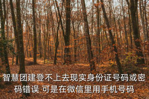 智慧團(tuán)建登不上去現(xiàn)實(shí)身份證號(hào)碼或密碼錯(cuò)誤 可是在微信里用手機(jī)號(hào)碼