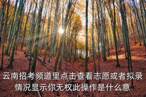 云南招考頻道里點擊查看志愿或者擬錄情況顯示你無權(quán)此操作是什么意