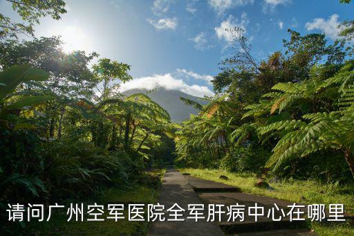請問廣州空軍醫院全軍肝病中心在哪里