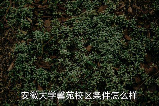 安徽大學馨苑校區條件怎么樣