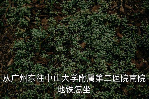 從廣州東往中山大學(xué)附屬第二醫(yī)院南院地鐵怎坐