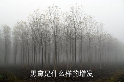 黑黛是什么樣的增發