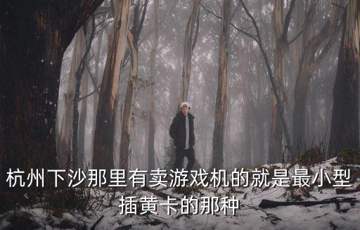 杭州游戲機(jī)，杭州有賣電子游戲機(jī)的地方嗎謝謝