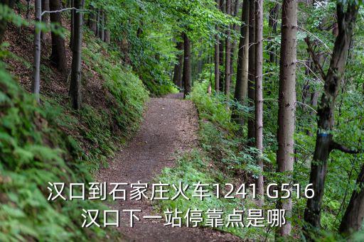 g516，微山至薛城G516公交車現在開通了嗎