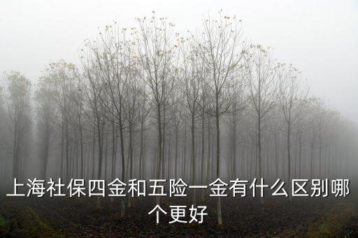 四險一金和五險一金區(qū)別，上海社保四金和五險一金有什么區(qū)別哪個更好