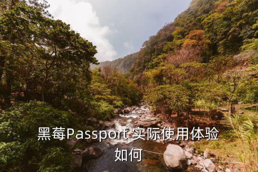 黑莓Passport 實際使用體驗如何