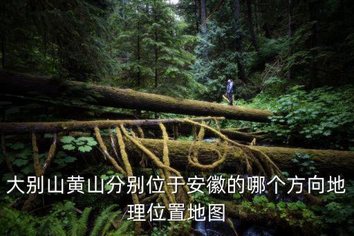 安徽黃山地圖，大別山黃山分別位于安徽的哪個方向地理位置地圖