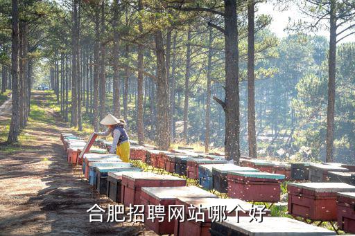 合肥招聘網(wǎng)站哪個好