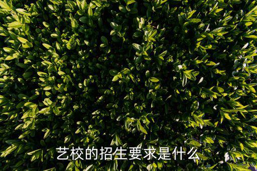 藝校的招生要求是什么