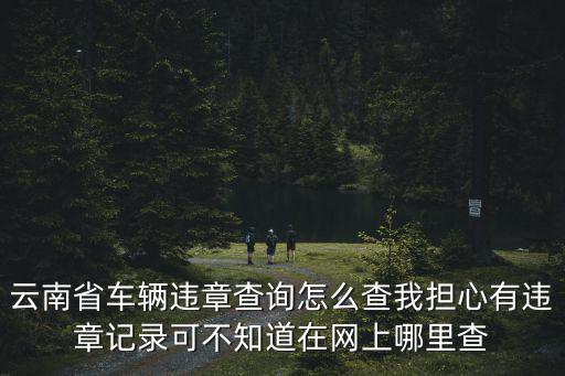 云南省車輛違章查詢怎么查我擔心有違章記錄可不知道在網上哪里查
