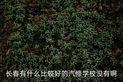 長春有什么比較好的汽修學校沒有啊