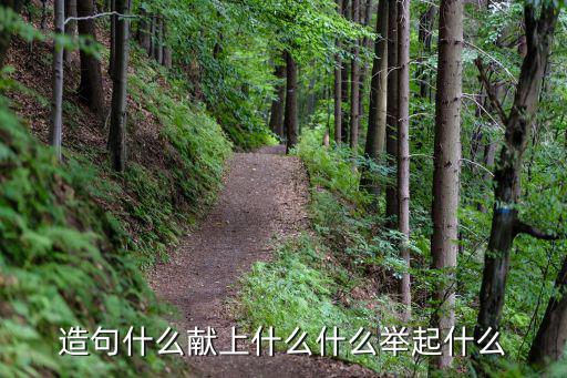 造句什么獻(xiàn)上什么什么舉起什么