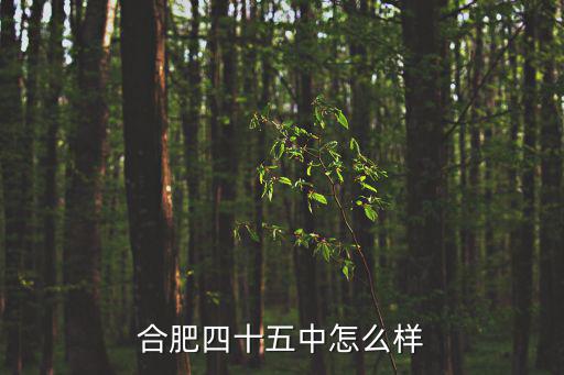 合肥四十五中怎么樣