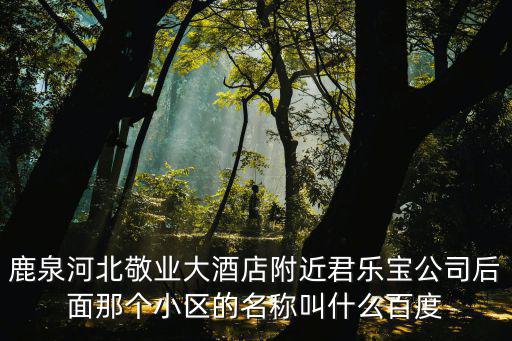 鹿泉河北敬業大酒店附近君樂寶公司后面那個小區的名稱叫什么百度