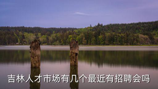 吉林人才市場有幾個最近有招聘會嗎