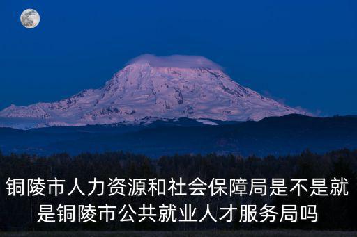 銅陵市人力資源和社會(huì)保障局是不是就是銅陵市公共就業(yè)人才服務(wù)局嗎