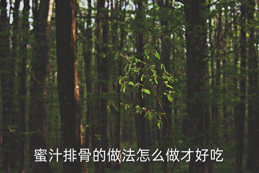 蜜汁排骨的做法怎么做才好吃