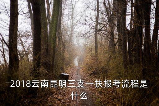 三支一扶政策，云南省三支一扶人員考研究生有沒有什么加分政策