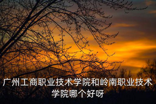 廣東工商職業技術學院，廣州工商職業技術學院和嶺南職業技術學院哪個好呀