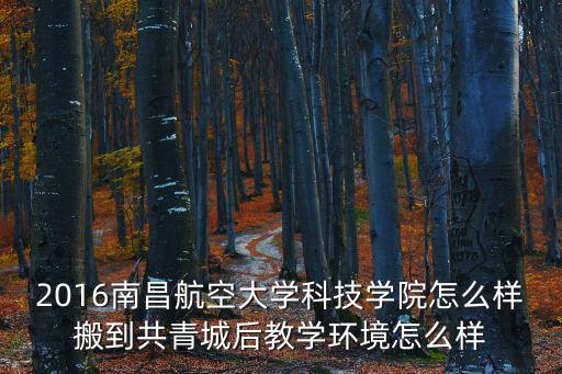 2016南昌航空大學(xué)科技學(xué)院怎么樣搬到共青城后教學(xué)環(huán)境怎么樣