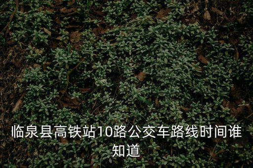 臨泉縣高鐵站10路公交車(chē)路線時(shí)間誰(shuí)知道