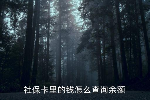 怎么查社保卡余額，社保卡怎么查余額