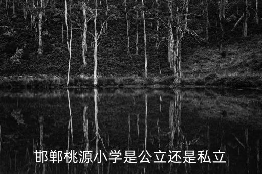 邯鄲桃源小學是公立還是私立