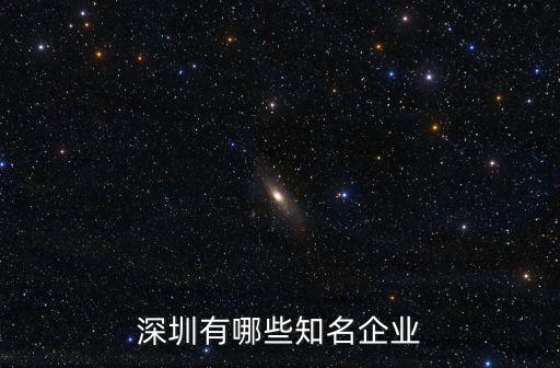 深圳有哪些知名企業