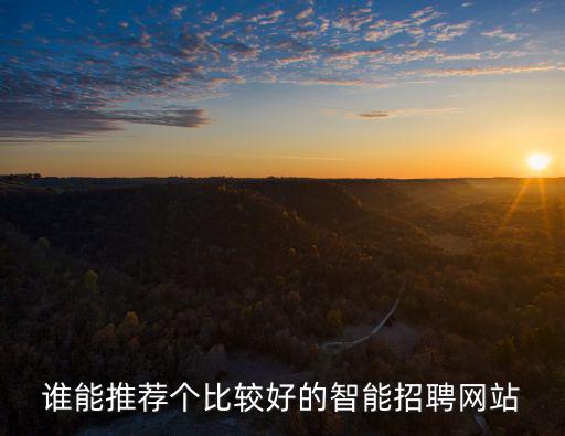 誰能推薦個比較好的智能招聘網站