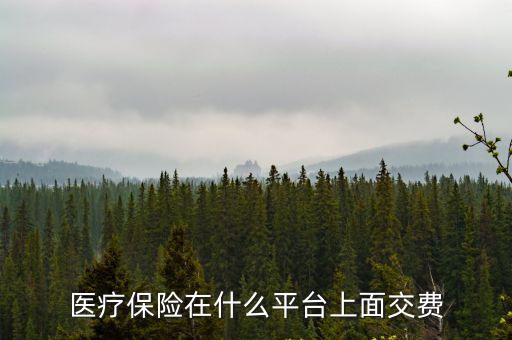 醫保平臺，醫療保險在什么平臺上面交費