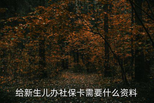 新生兒辦理社保卡需要什么資料，給新生兒辦社保卡需要什么資料