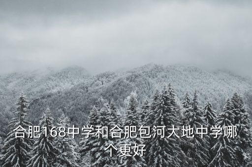 合肥168中學和合肥包河大地中學哪個更好