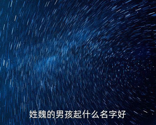 姓魏的男孩起什么名字好