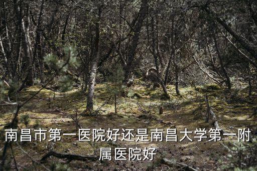 南昌市第一醫院好還是南昌大學第一附屬醫院好