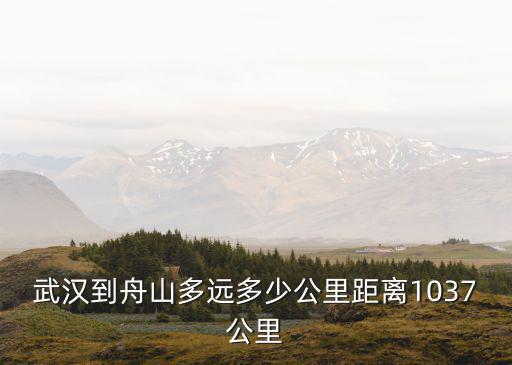 武漢到舟山多遠多少公里距離1037公里