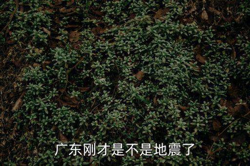 廣東省地震，廣東剛才是不是地震了