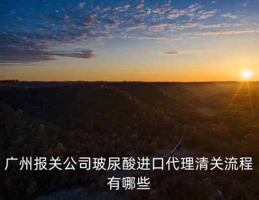 廣州報關公司玻尿酸進口代理清關流程有哪些
