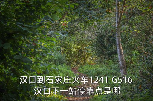 漢口到石家莊火車1241 G516 漢口下一站停靠點(diǎn)是哪