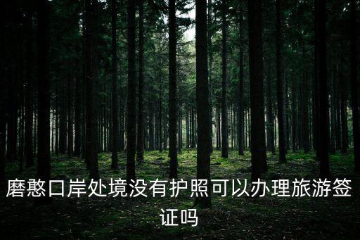 磨憨口岸處境沒有護照可以辦理旅游簽證嗎