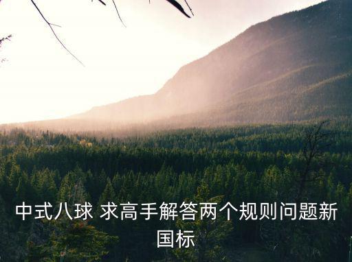 中式臺球規則，中式八球 求高手解答兩個規則問題新國標
