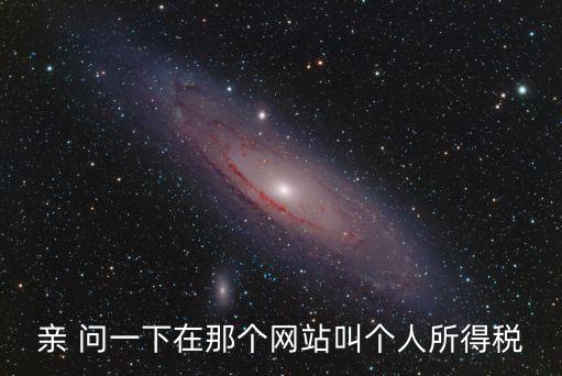 親 問一下在那個網站叫個人所得稅
