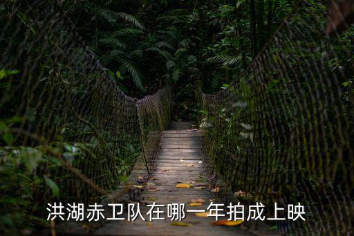 洪湖赤衛隊在哪一年拍成上映