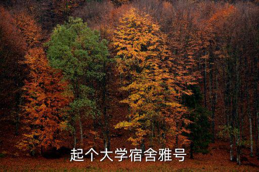 起個大學(xué)宿舍雅號