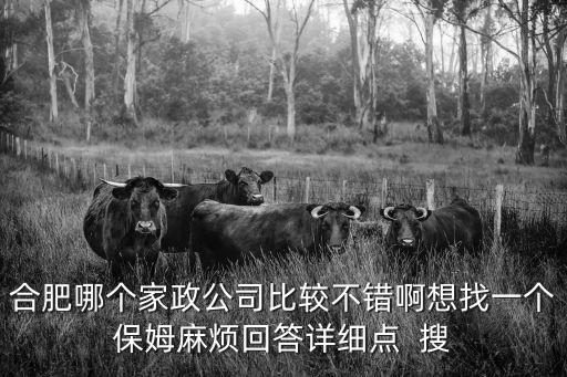 合肥哪個(gè)家政公司比較不錯(cuò)啊想找一個(gè)保姆麻煩回答詳細(xì)點(diǎn)  搜