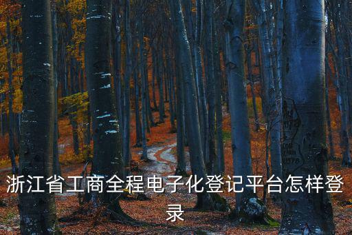 浙江省工商全程電子化登記平臺(tái)怎樣登錄