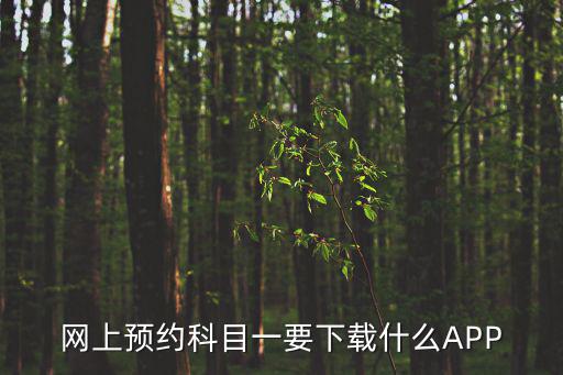 網上預約系統，網上預約科目一要下載什么APP