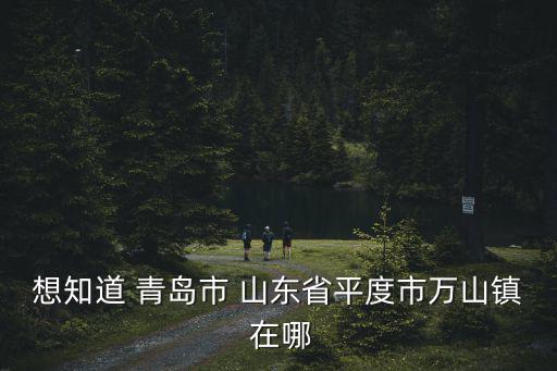 想知道 青島市 山東省平度市萬山鎮 在哪